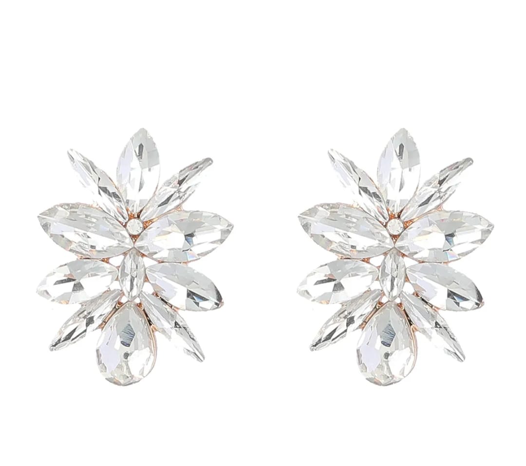 Trendy Crystal Statement Earrings - FAH Jewelry